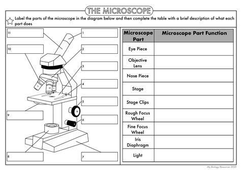 Gcse Science Biology Worksheet