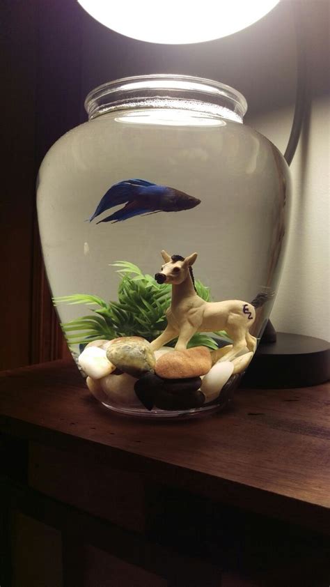 Pin by matina the on Planted fish bowl | Fish bowl decorations, Cool ...