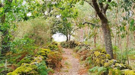 Caminhada dá a conhecer levada e sítio arqueológico de Vieira do Minho