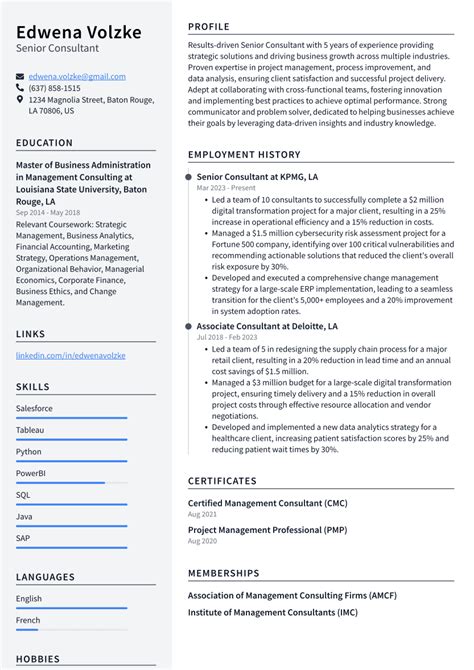 Top Senior Consultant Resume Objective Examples