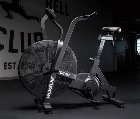 Rogue Echo Bike In-Depth Review 2020 | AirBikeReview.com