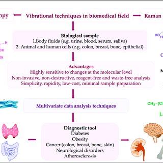 Strategy in biomedical applications. | Download Scientific Diagram