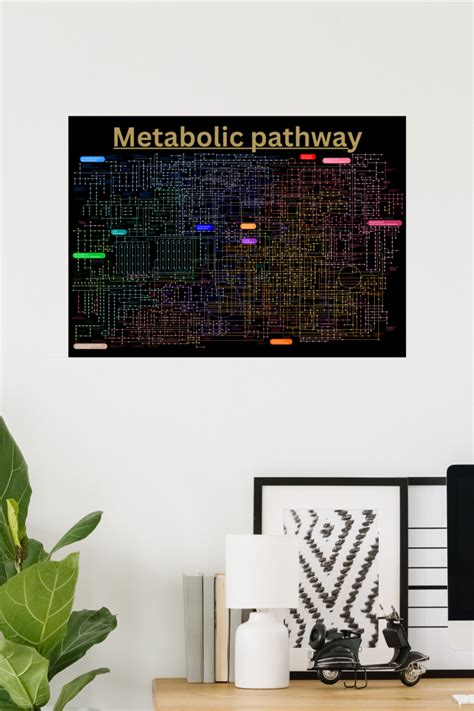 Black Metabolic pathway of the cell Poster | Zazzle | Pathways, Science poster, Engineering classes