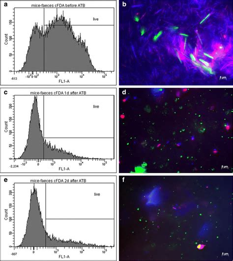 Viability of microorganisms in faeces determined by FACS and visualized ...