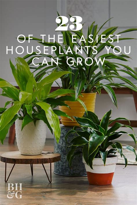 Try These 24 Easy To Grow Houseplants With Low Watering Needs Indoor Plants Low Light Low