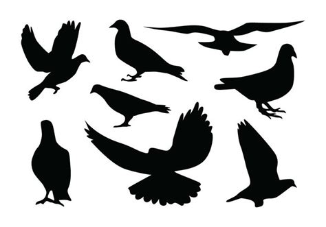 Pigeon Silhouette Vectors 137727 Vector Art at Vecteezy