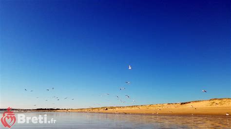 Galerie Photos Le Site De Des Fermes Marines Br Tignolles Sur Mer