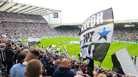 Newcastle United V Brighton Wor Flags And Local Hero YouTube