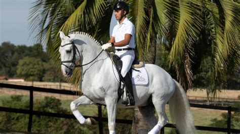 Live Rocas do Vouga apresentará história do haras e sua criação de