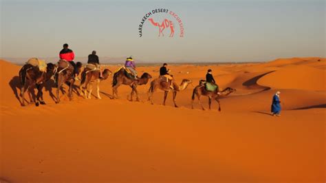 What is the Best Desert Tours from Marrakech for 2024?