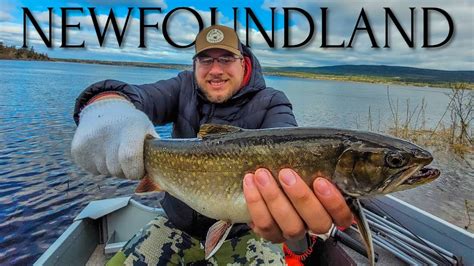 Catching Monster Sea Run Brook Trout In Newfoundland Youtube