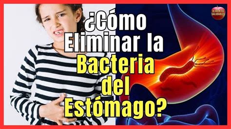 Remedios Caseros Naturales Para Eliminar Helicobacter Pylori La