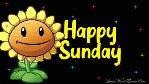 Happy Sunflower Happy Sunday Pictures Photos And Images For