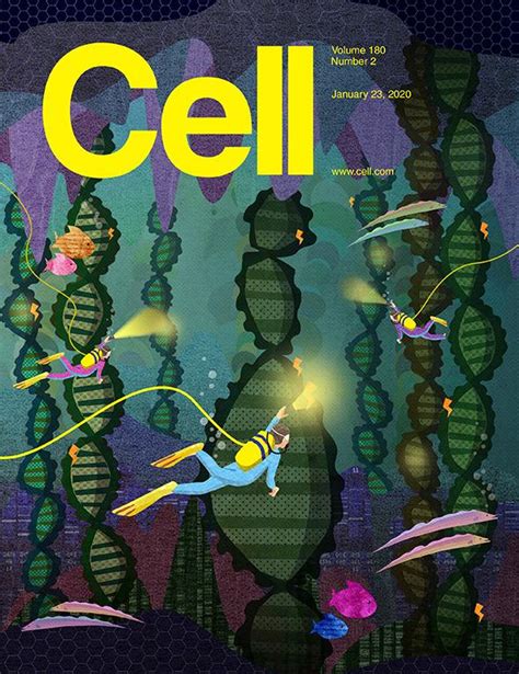 科学与艺术的结合！《cell》100张期刊封面鉴赏｜2020年篇 知乎