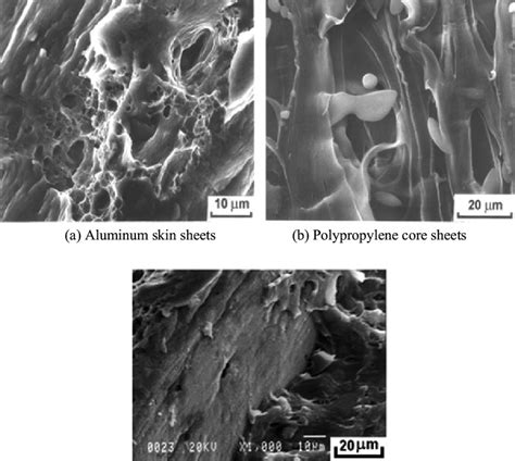 Sem Fractographs Of Sandwich Panel After Room Temperature Tensile Test