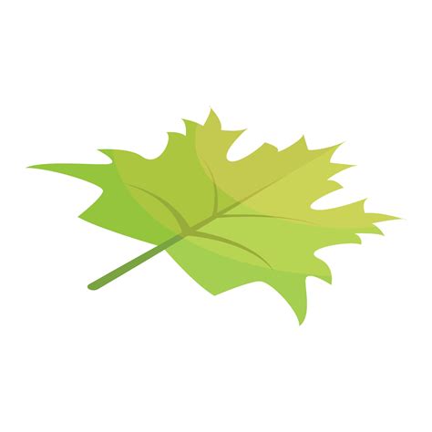 Green maple leaf icon, isometric style 15552830 Vector Art at Vecteezy