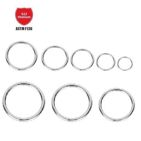 Astm F136 Titanium Set Of Pierced Diaphragm Nose Rings Earrings Closed Hoop Set Natural Sexy