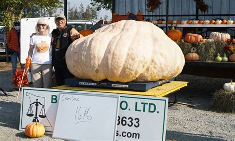 Richmond Giant Pumpkin Grower Wins B C Title Richmond News