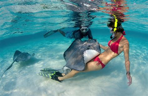 Scuba diving in the Cayman Islands is a beautiful underwater experience.