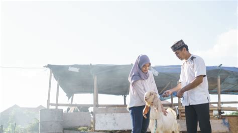 Ini Syarat Orang Yang Bisa Melakukan Ibadah Kurban BAZNAS