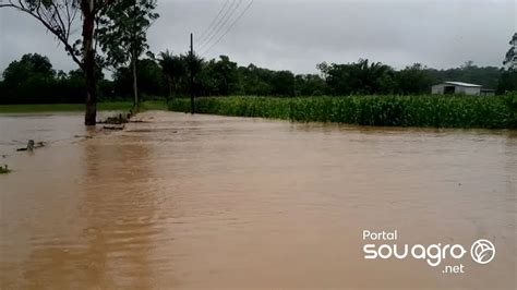 Lavouras ficam completamente alagadas chuva acima na média no Sul