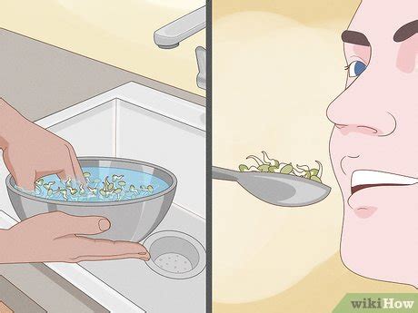 How to Grow Bean Sprouts Indoors (with Pictures) - wikiHow