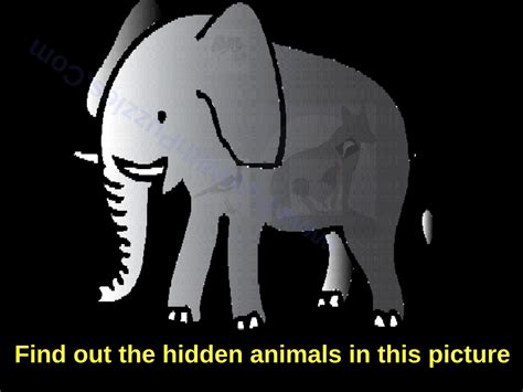 Hidden Animals Picture Puzzle