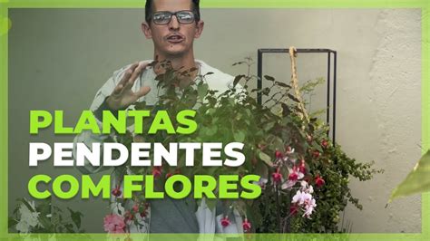 5 Plantas Pendente Flores Plantei Garden Center YouTube