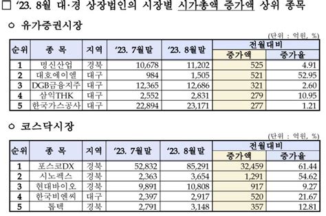 대구경북 상장사 8월 시총 한달새 11조원 증발 영남일보 사람과 지역의 가치를 생각합니다