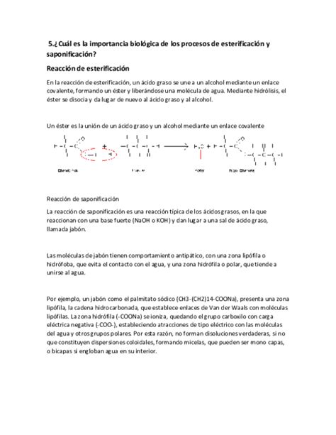 Doc 5¿cuál Es La Importancia Biológica De Los Procesos De