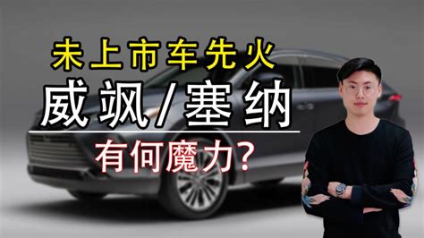 没上市就火了，丰田新车首秀，威飒和塞纳到有何魔力？ 汽车 车评 好看视频