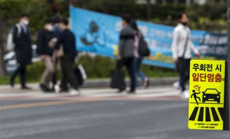 22일부터 우회전 일시정지 위반 단속 본격 시행 위반시 범칙금 부과 뉴시스pic 파이낸셜뉴스