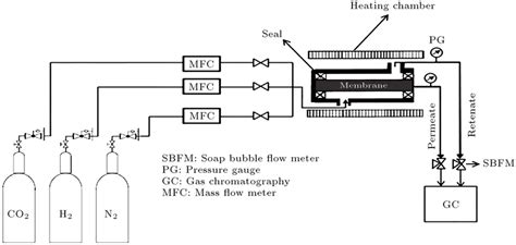 Schematic Diagram Of Experimental Setup For Gas Permeation Measurement