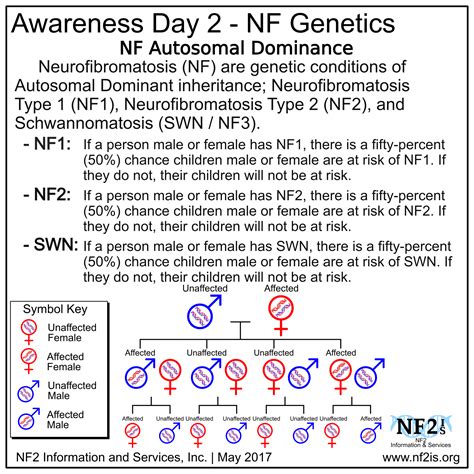 Neurofibromatosis Type 2 Gene