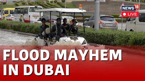 Dubai Flood Live Flooding Heavy Rain Briefly Halt Operations At