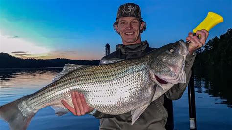 Targeting Striper Using Live Sonar - Wired2Fish