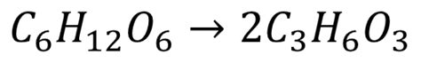 Anaerobic Respiration In Animals Equation