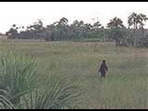 Swamp Ape watch online with english subtitles - bestofil