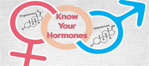 Know Your Hormones - Male and Female Hormones | Health Tips Blog