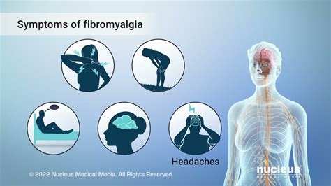 Fibromyalgia Youtube