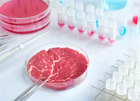 Carne Sintetica In Cina Apre La Prima Fabbrica Di Produzione Su Larga