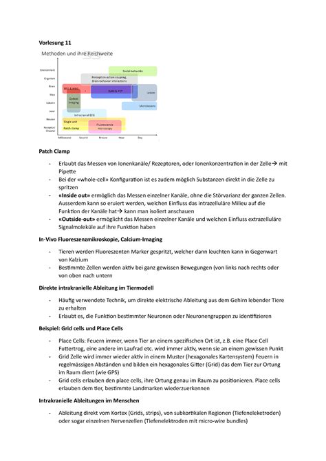 Vorlesung 12 Sommersemester Vorlesung 11 Patch Clamp Erlaubt Das