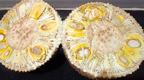 Vietnam Super Early Jackfruit Black Spot Disease