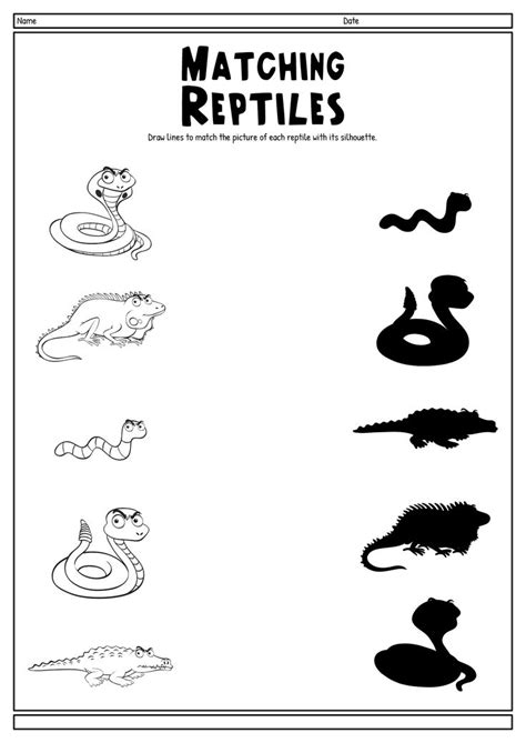 Reptile And Amphibian Study Mb Worksheet