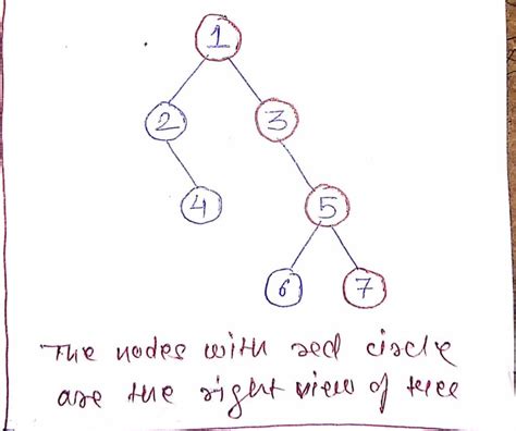 Print Right View Of A Binary Tree In Java Codespeedy