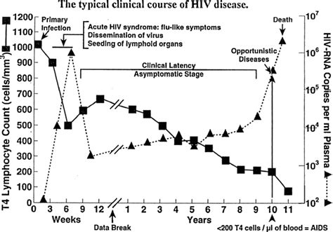 Clinical Behaviour Of Hiv Infection Graph Showing Hiv Copies Viral Load And Cd4 Cells In