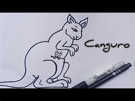 Cómo Dibujar Un Canguro Dibuja un canguro fácil y rápido YouTube