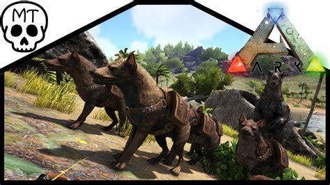 Taming And Testing Hyaenodon Ark Survival Evolved Youtube