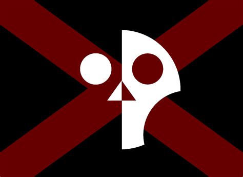 Modernfuturistic Pirate Flag Rvexillology