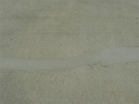 How To Repair Concrete Driveway Cracks Dengarden